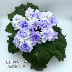 НД-Бабл Гам